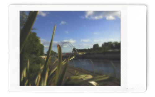 IMG_00391